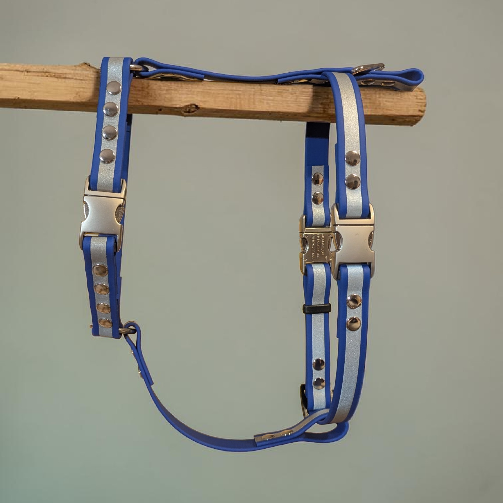 Harnais en Y en Biothane®