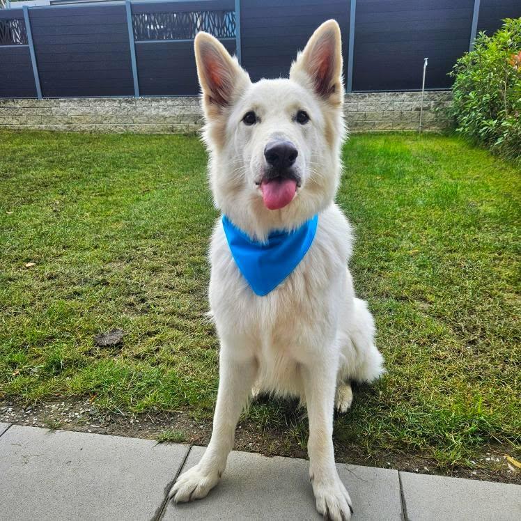 Spartï - @sparti_the_adventurer