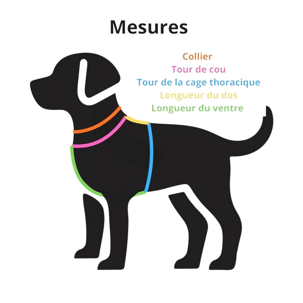 Collier en Biothane®