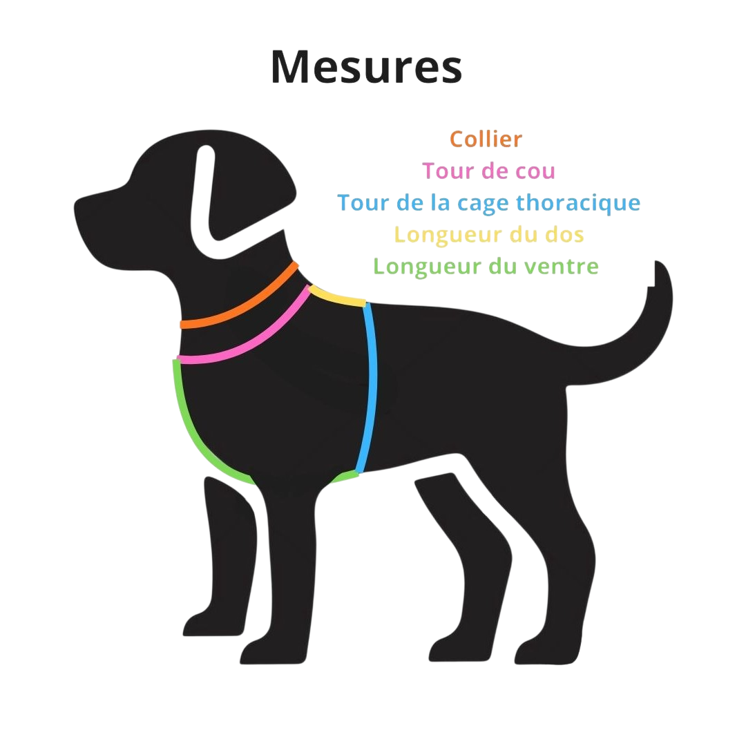 Harnais en Y en Biothane®