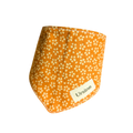 Bandana pour chien