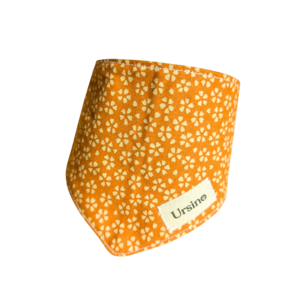 "Poya" bandana