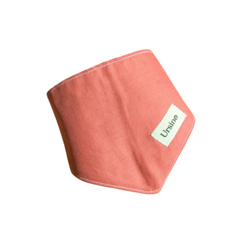 Bandana pour chien