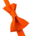 Nœud papillon