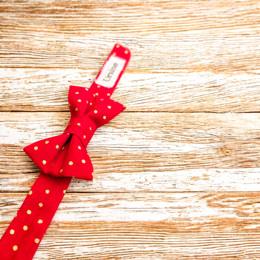 Noeud papillon "Éclat de Fête"