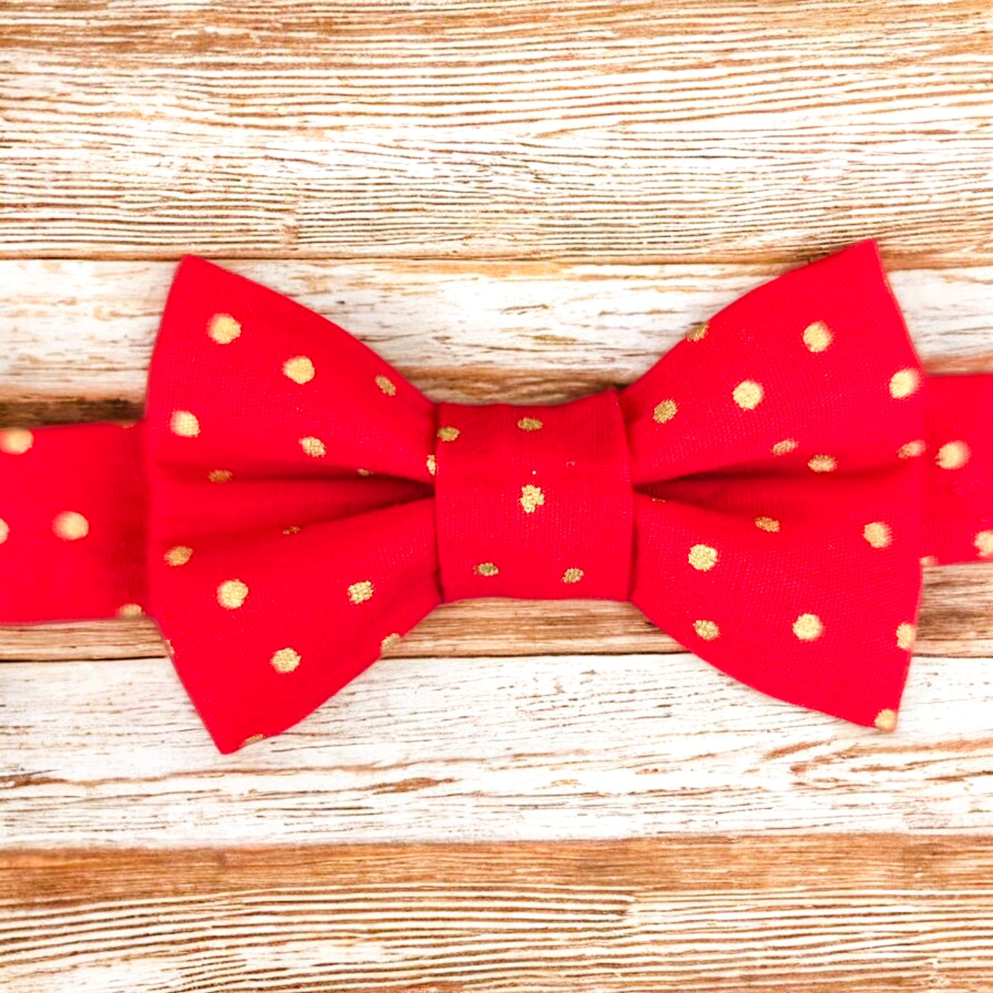 Noeud papillon "Éclat de Fête"