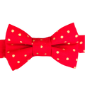Nœud papillon