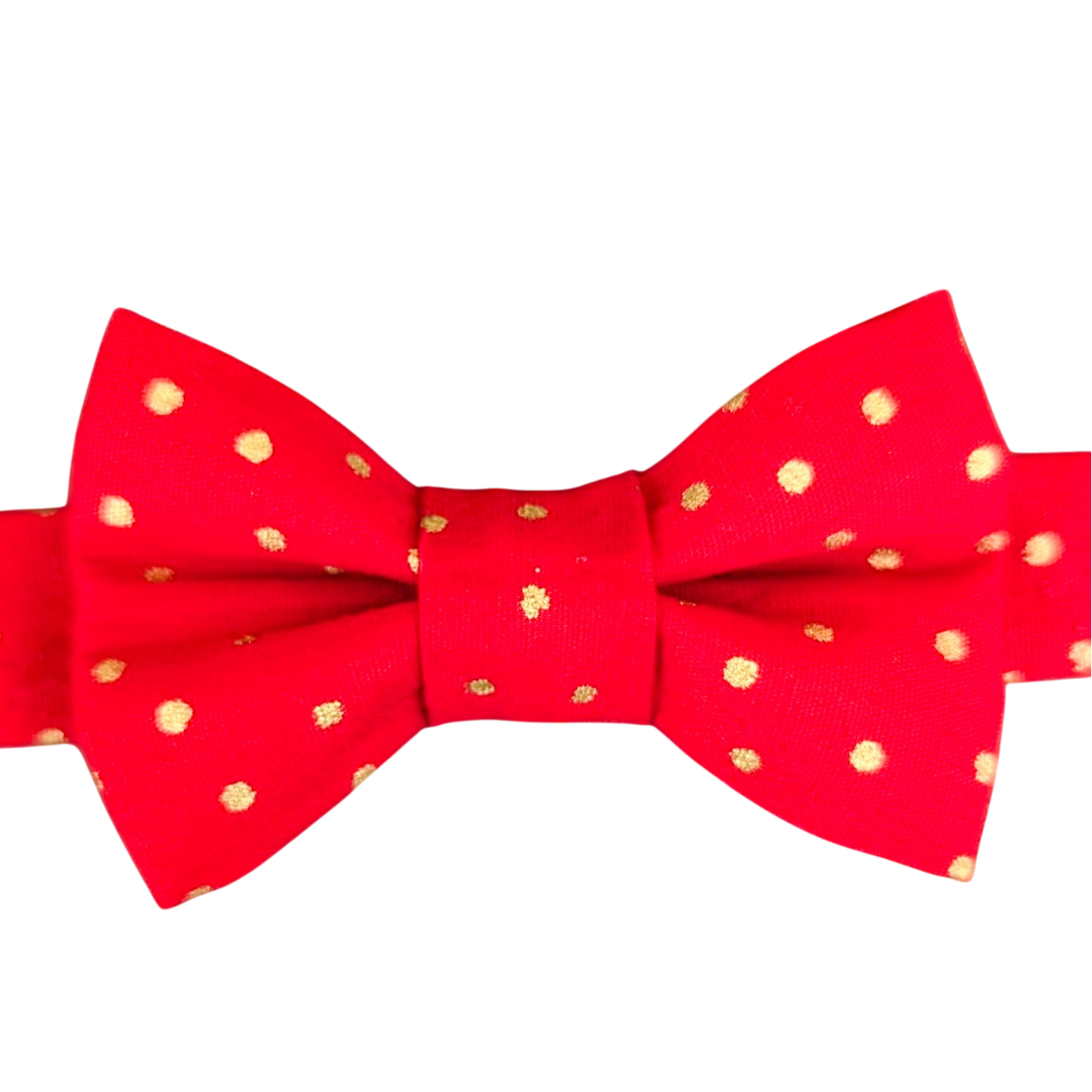 "Poya" bandana