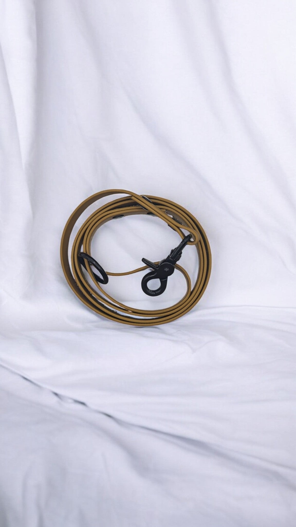 Laisse/longe biothane avec poignée