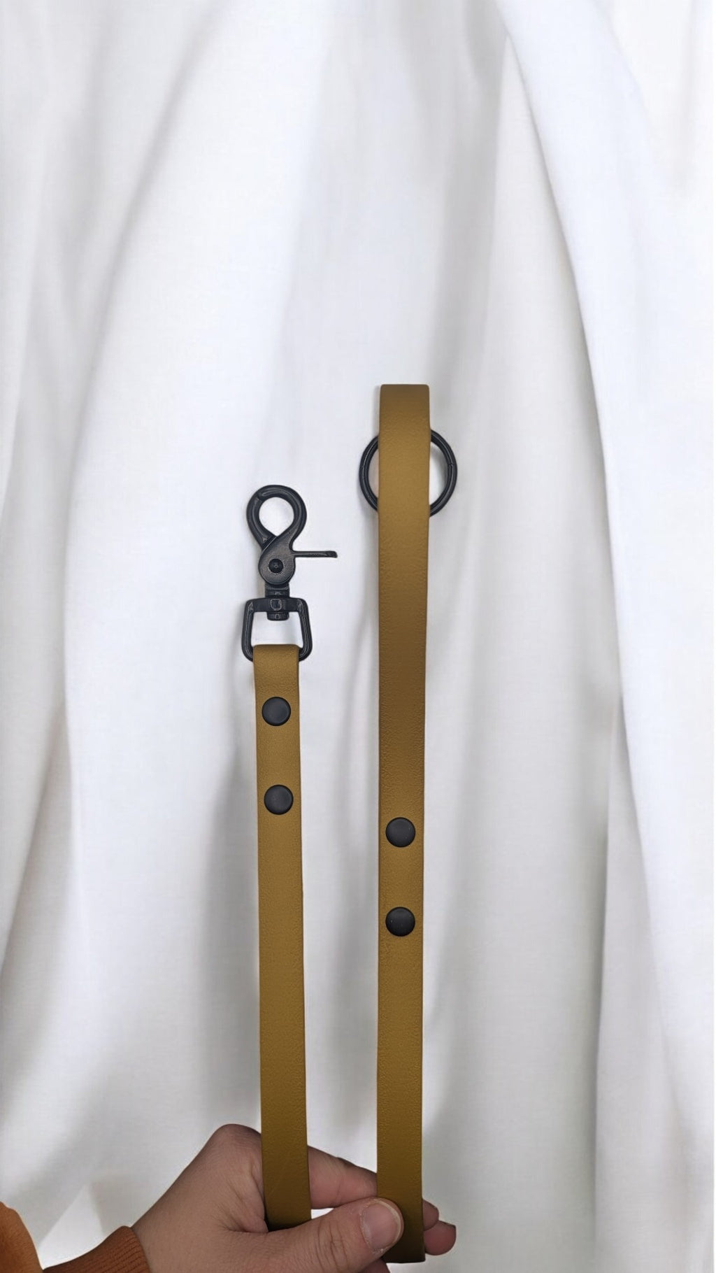 Laisse/longe biothane avec poignée