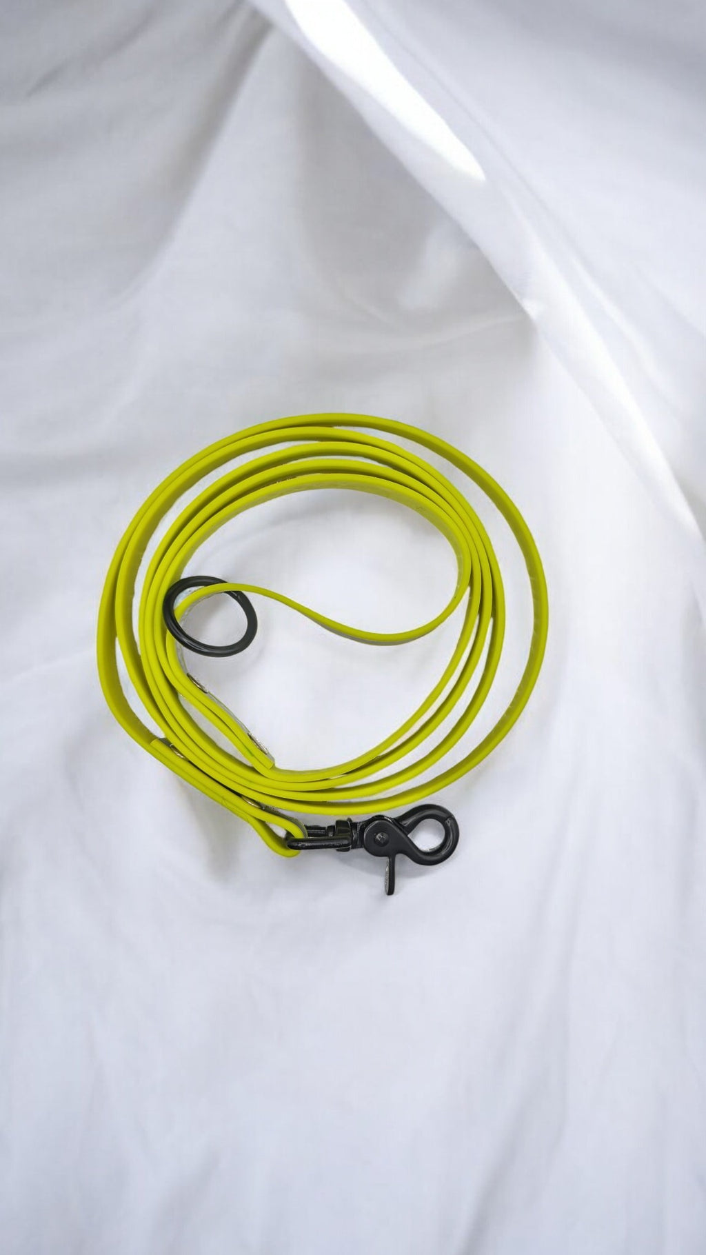 Laisse/longe biothane avec poignée
