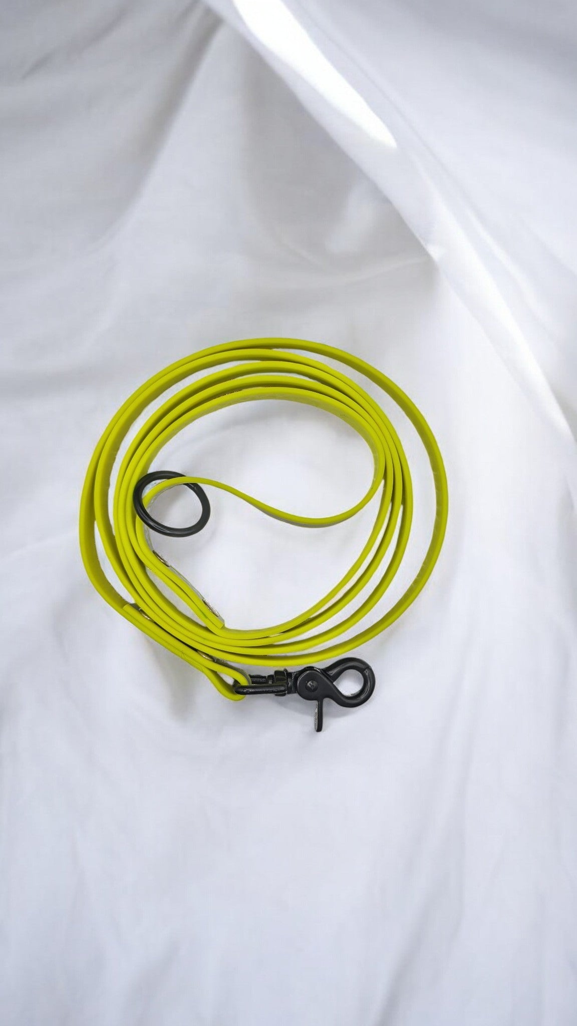 Laisse/longe biothane avec poignée