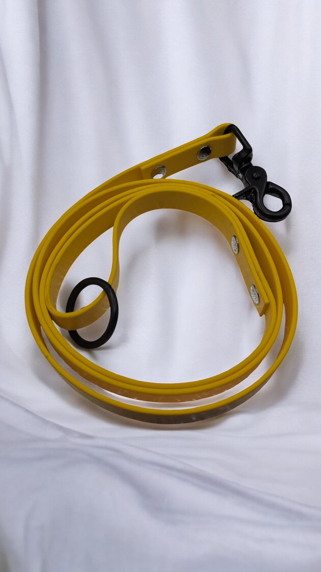 Laisse/longe biothane avec poignée