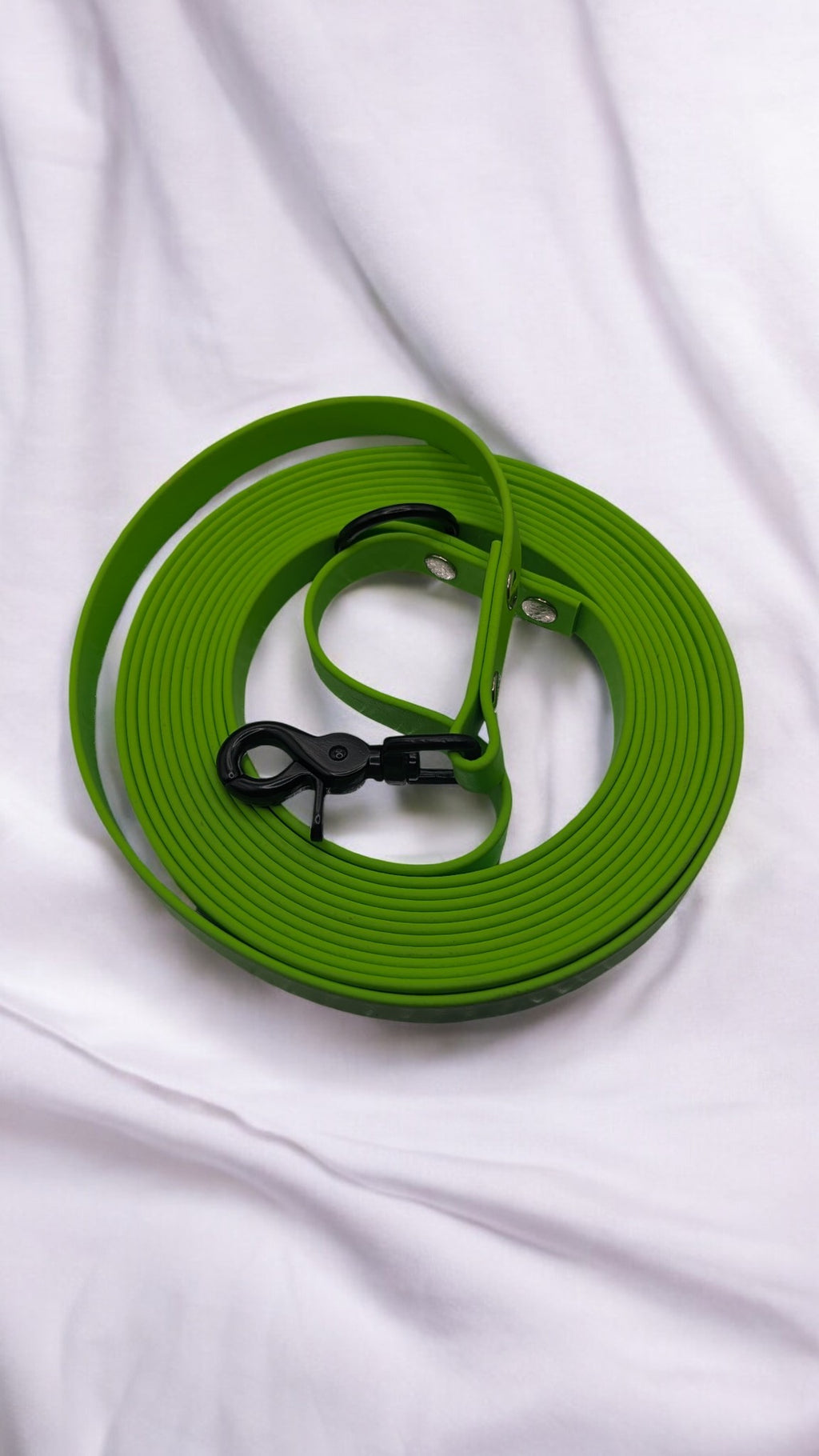 Laisse/longe biothane avec poignée