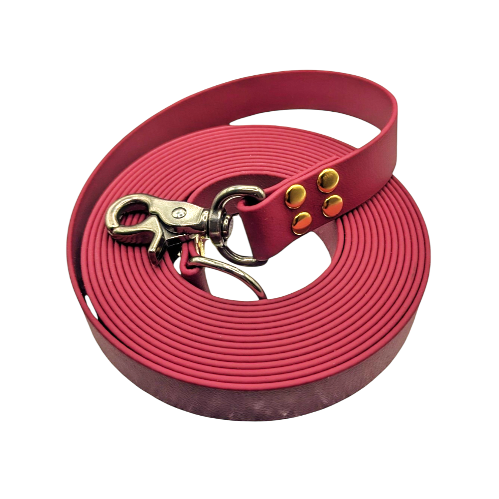 Laisse/longe en Biothane®