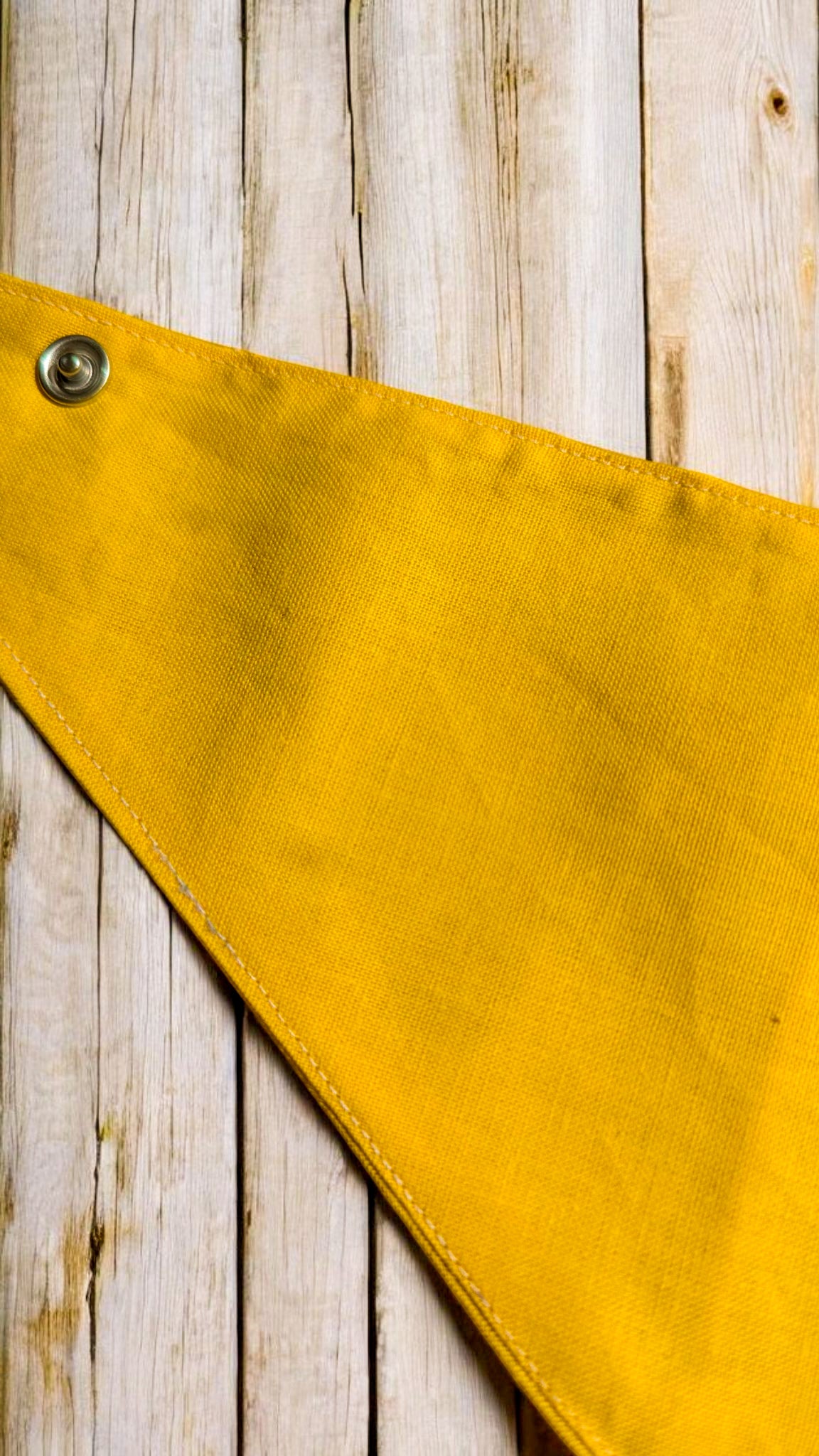 Bandana "Sunny"