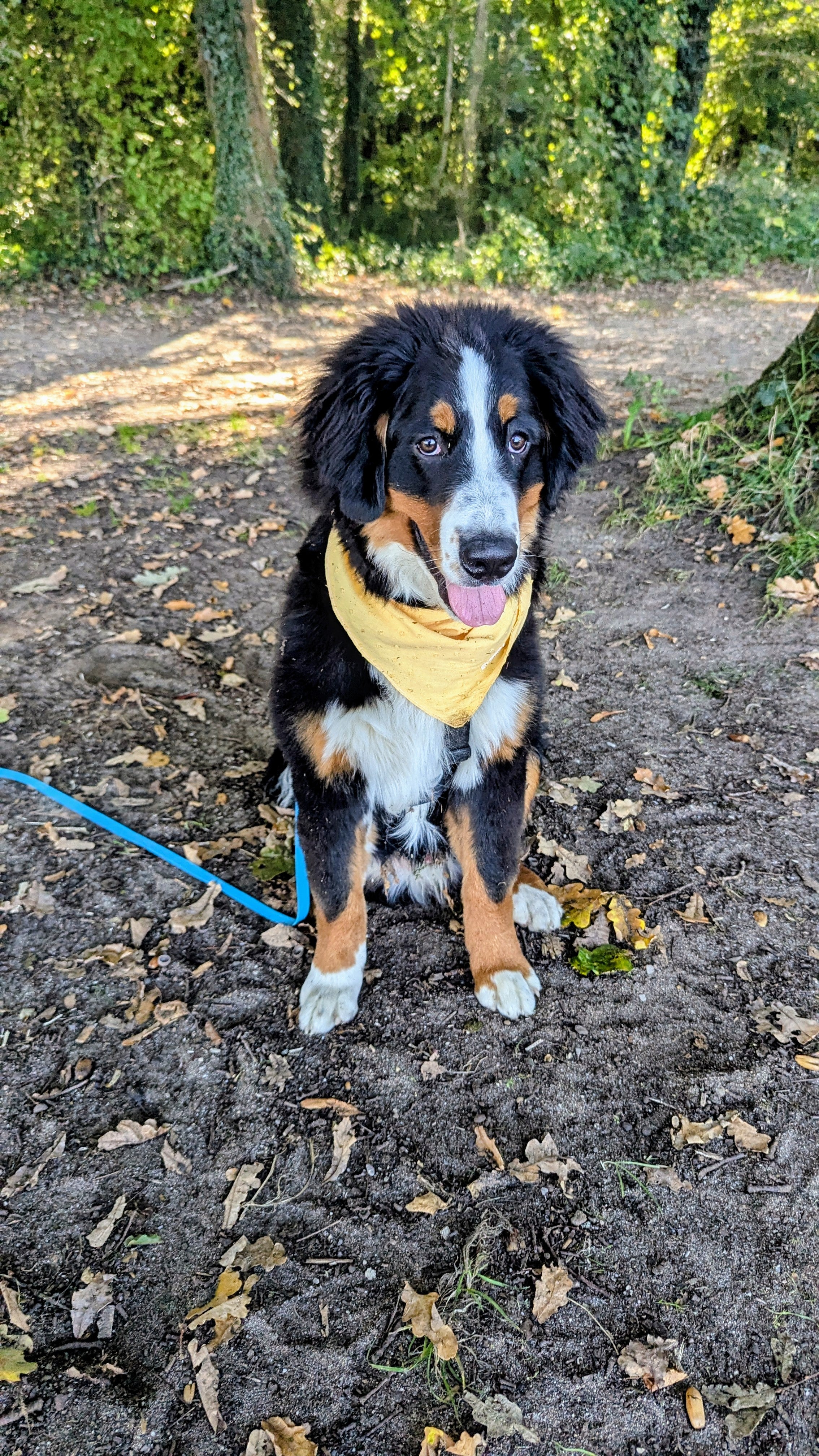 Urs - @le.monde.selon.urs