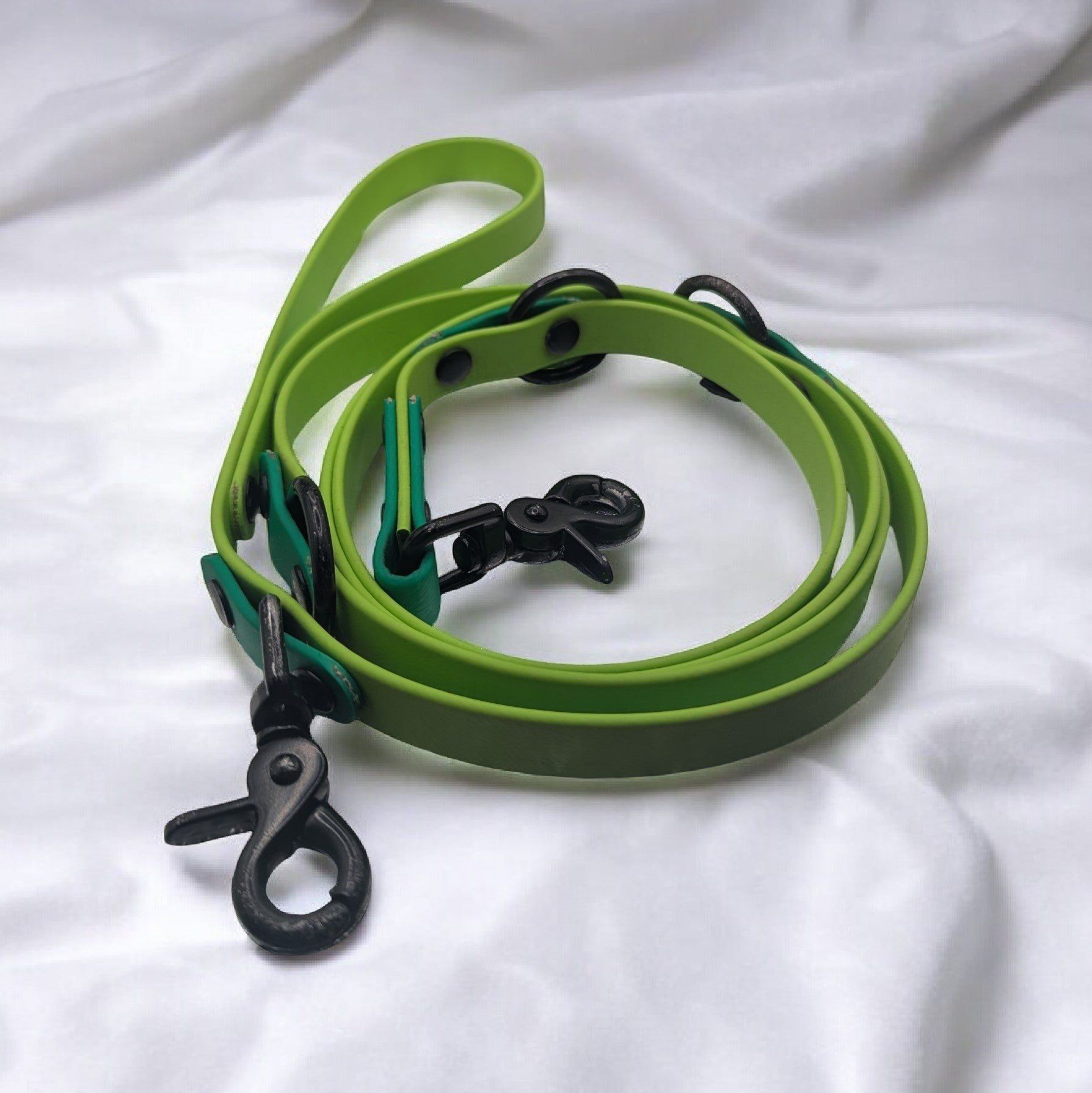 Laisse 5 points Biothane®