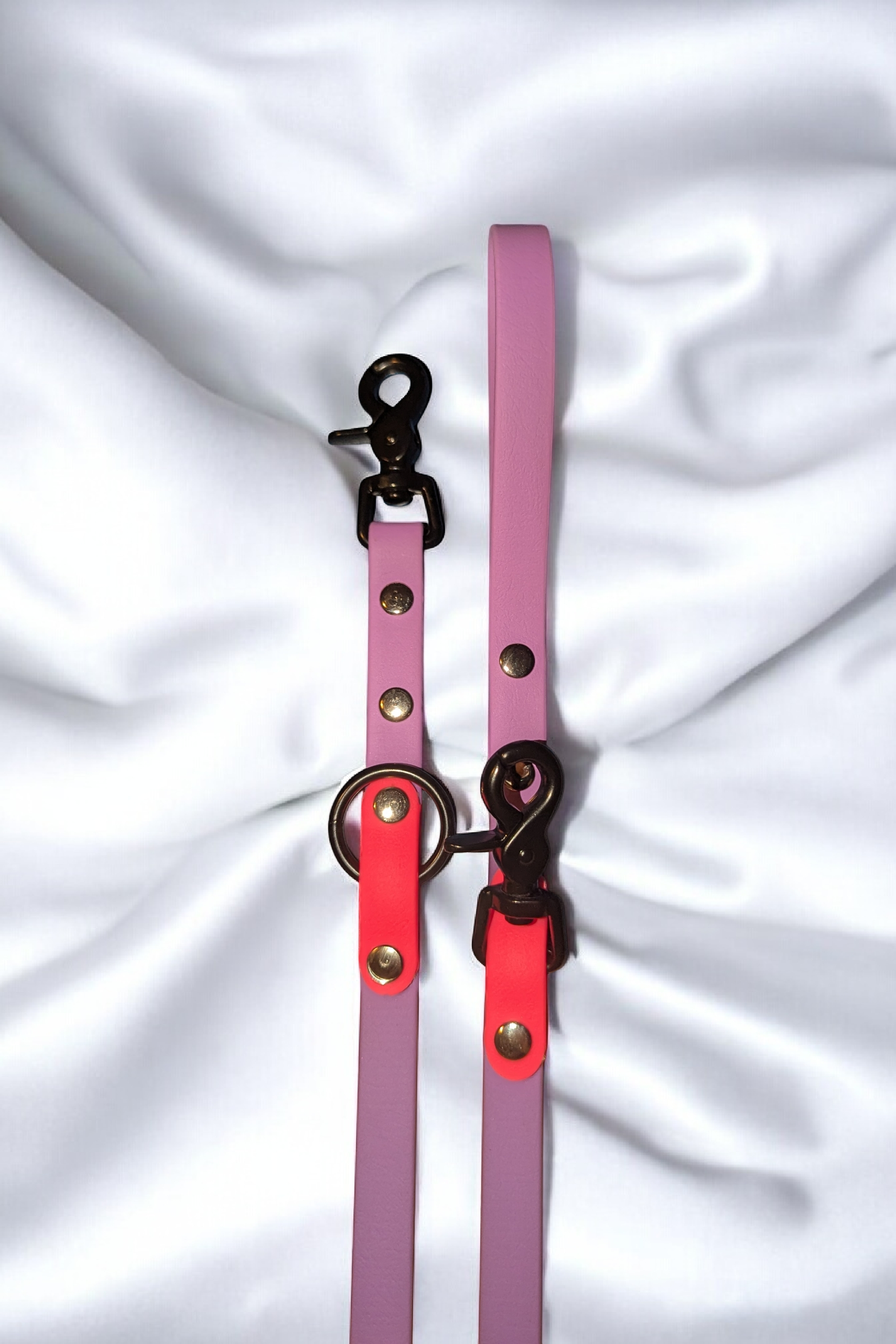 Laisse 5 points Biothane®