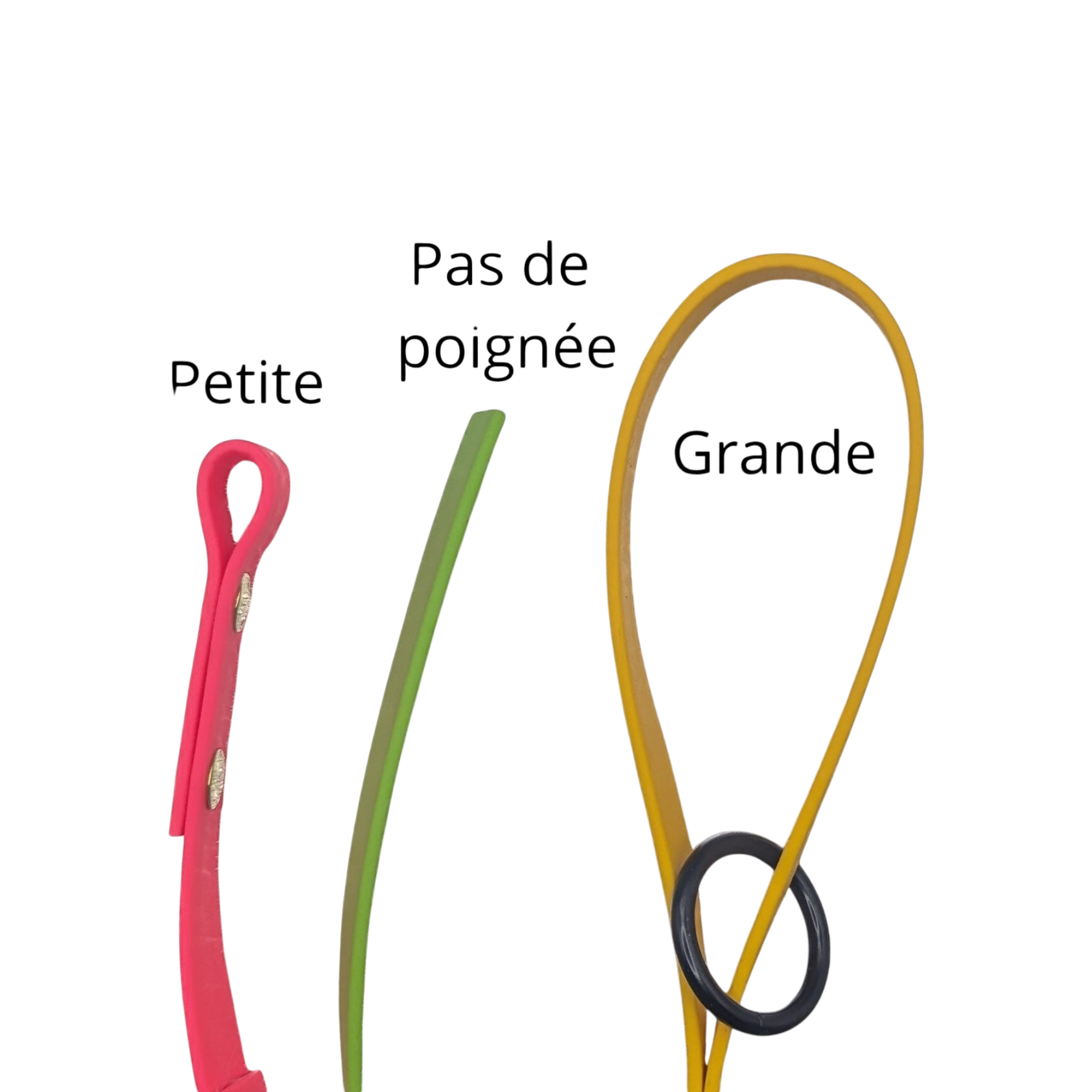 Laisse/longe en Biothane®