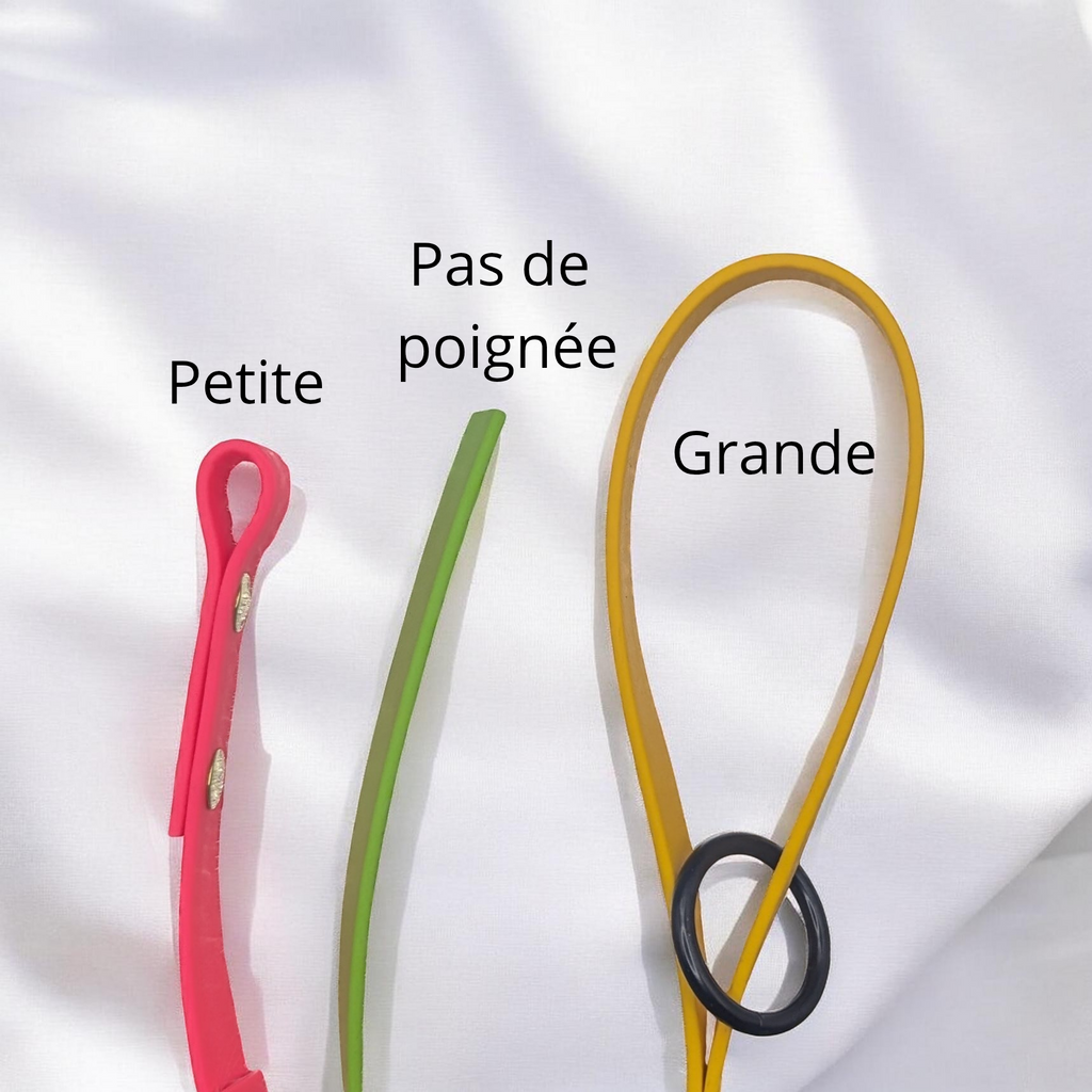 Laisse/longe en Biothane®