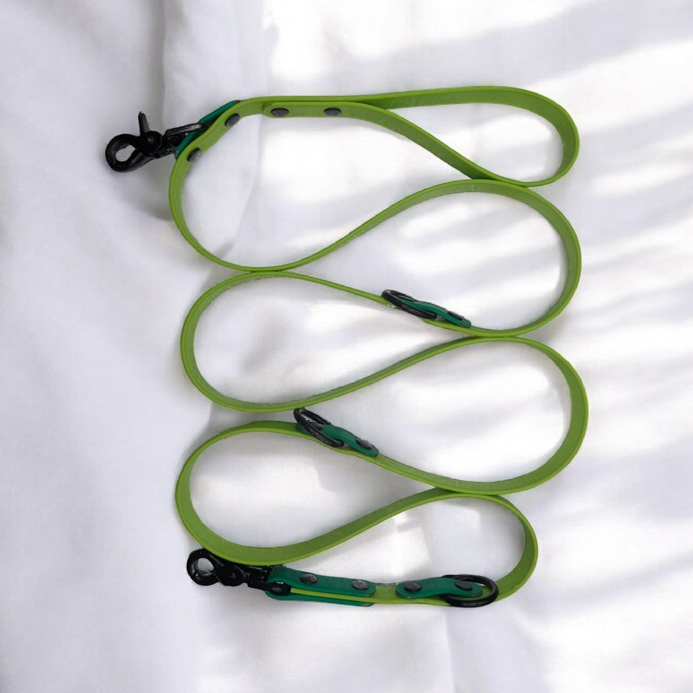 Laisse 5 points Biothane®